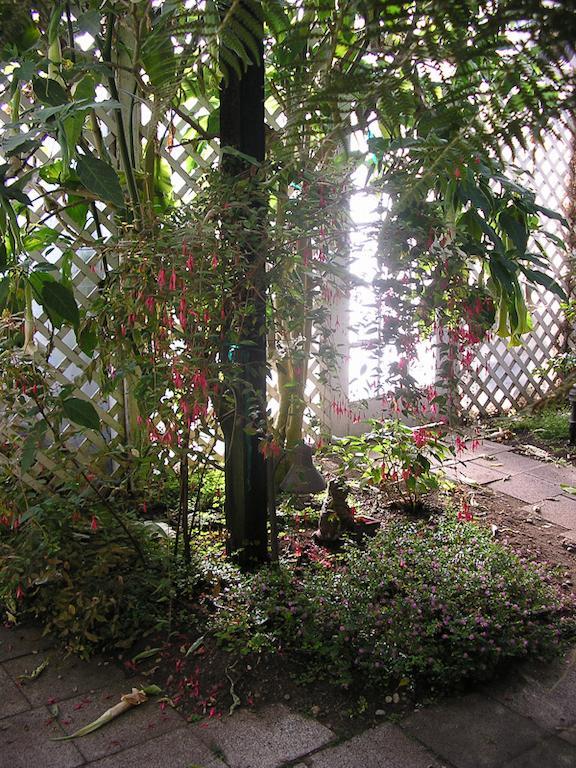 Bed and Breakfast The Atrium Fort Bragg Exterior foto